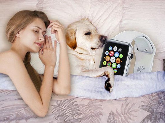Apple wants to replace your dog with the Apple Watch